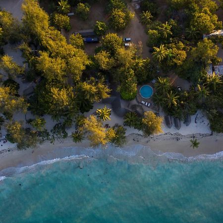 Mikadi Beach Camp & Backpackers Albergue Dar es Salaam Exterior foto