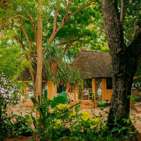 Mikadi Beach Camp & Backpackers Albergue Dar es Salaam Exterior foto