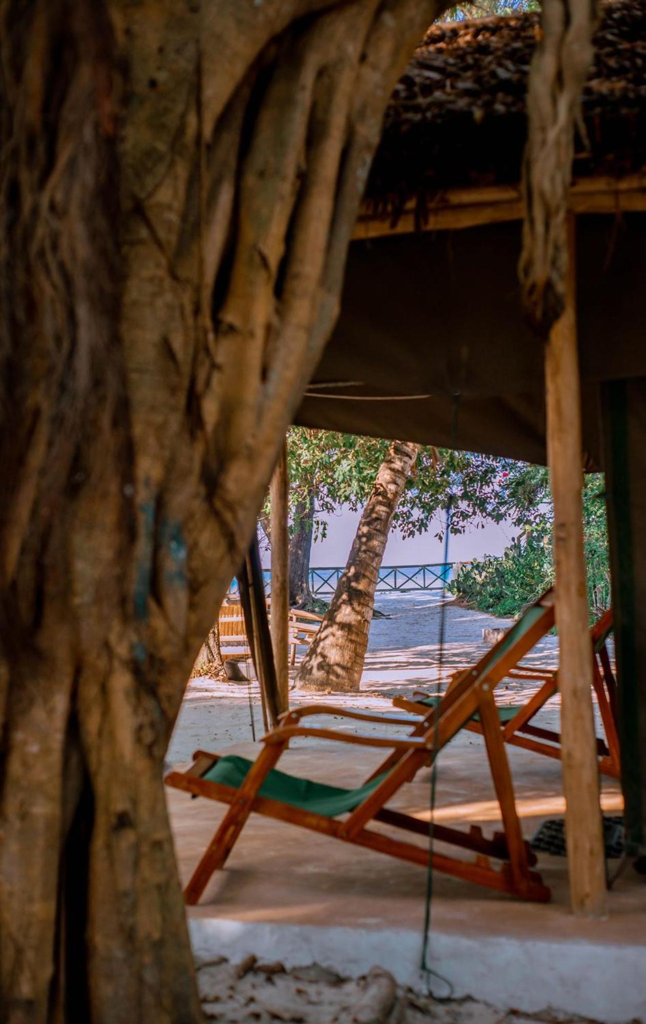 Mikadi Beach Camp & Backpackers Albergue Dar es Salaam Exterior foto